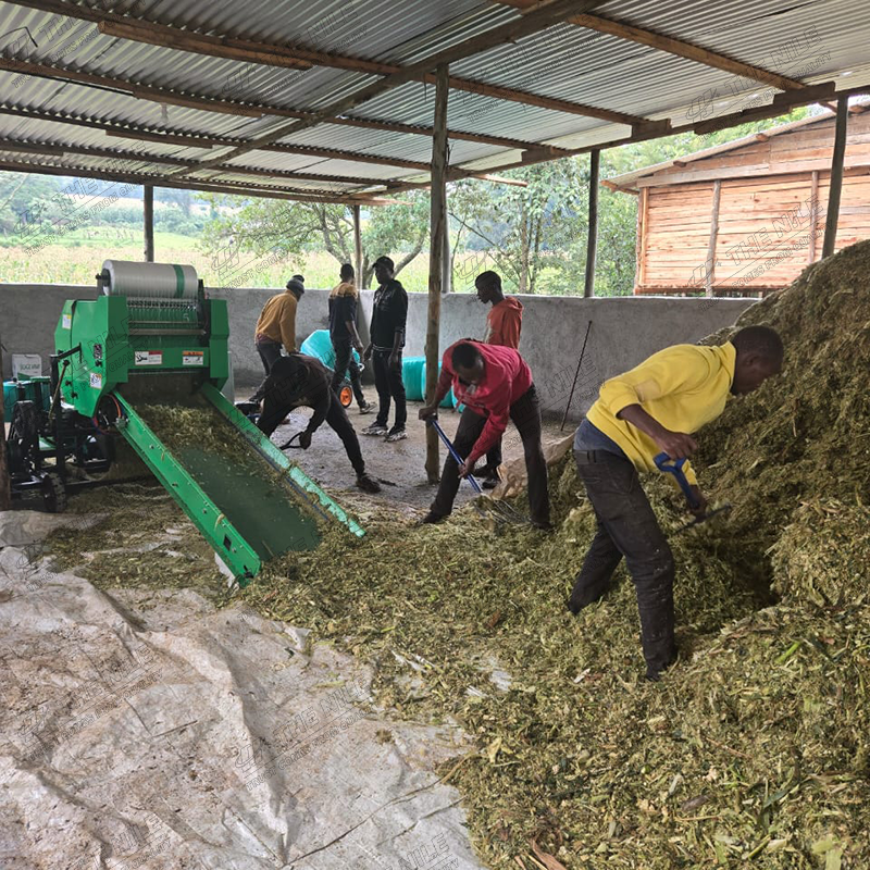 China Corn Silage Grass Harves - Silage Baler Machine incelemesi ve fiyatı