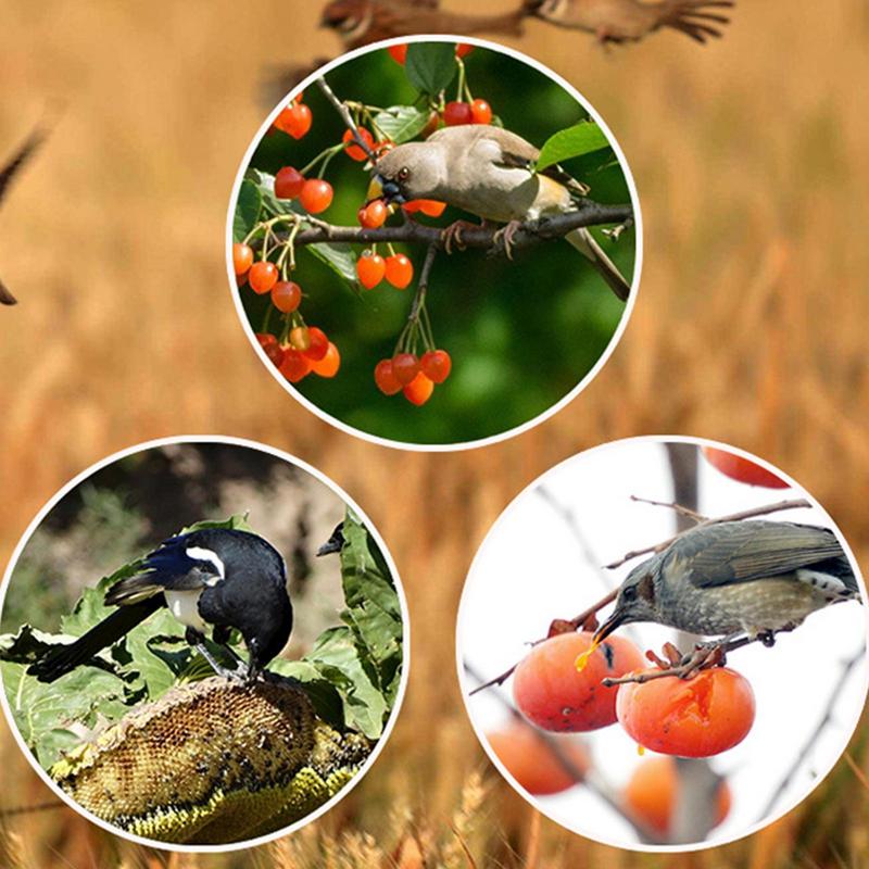 Solar Timer Bird Repeller With - Solar Bird Scarer incelemesi ve fiyatı