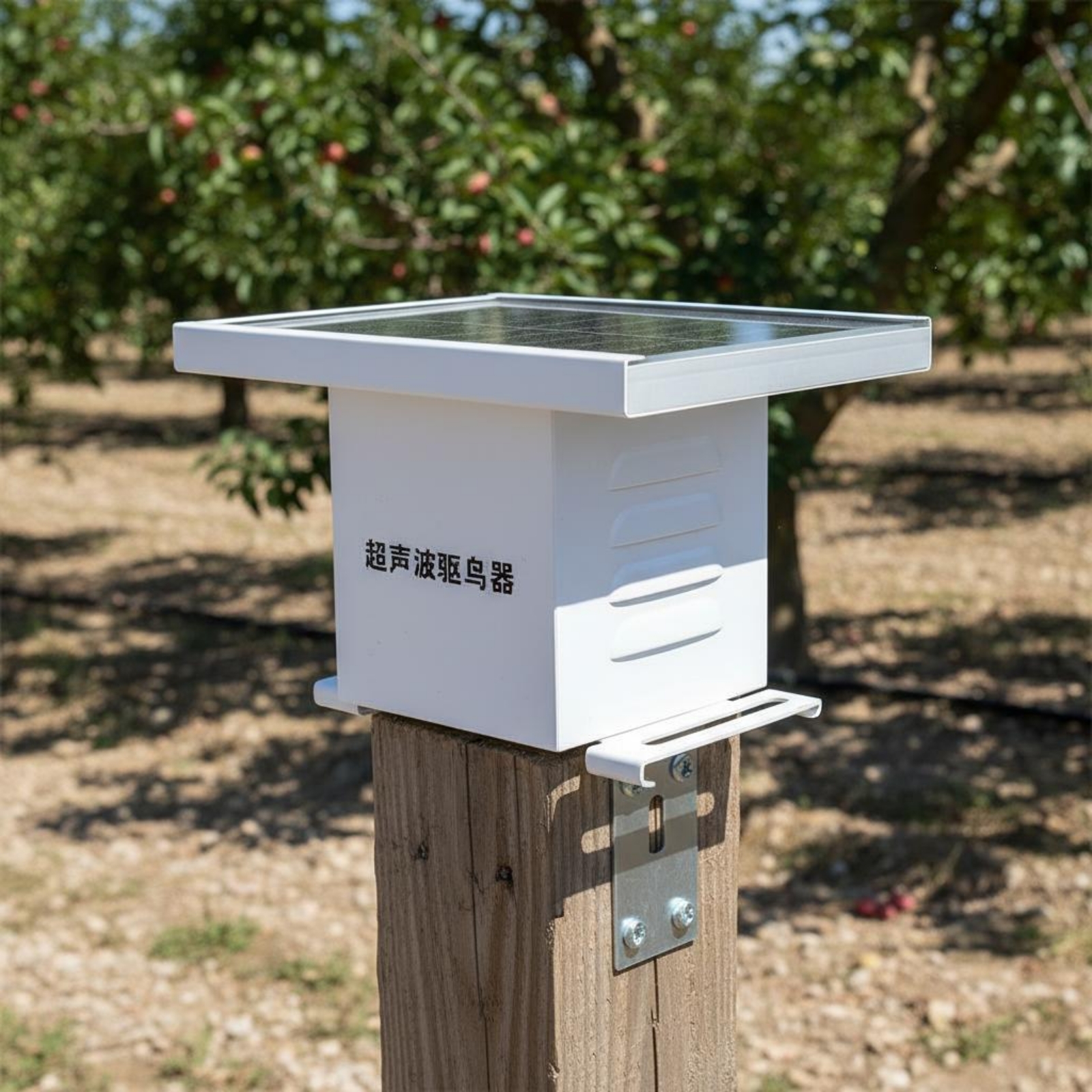 Solar High-Frequency Bird Repe - Solar Bird Scarer incelemesi ve fiyatı